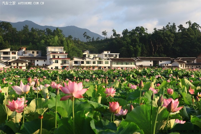 莲乡游————————江西抚州广昌县驿前镇姚西村
