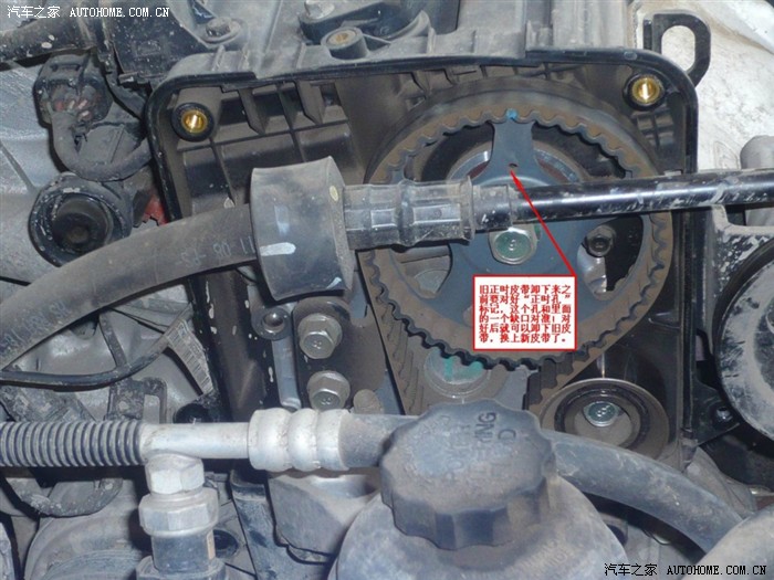 赛拉图论坛_汽车之家论坛