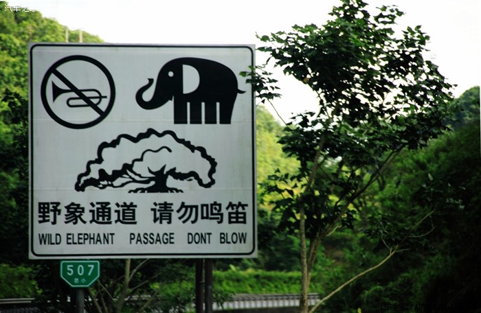 极边腾冲纵情版纳vip公爵雨季云南行全文更新完