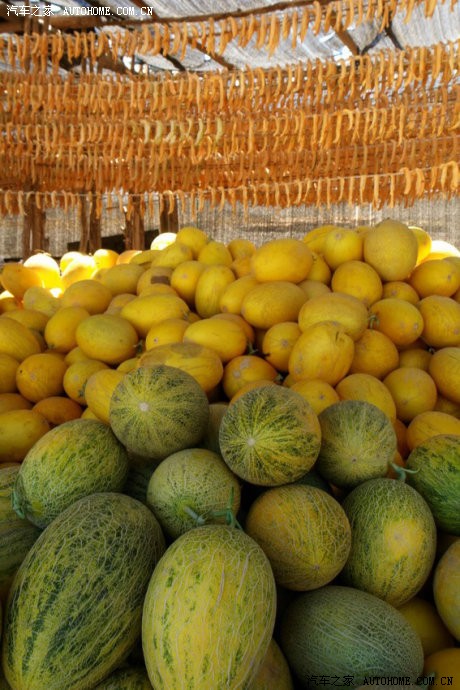 尝尝瓜州的蜜瓜