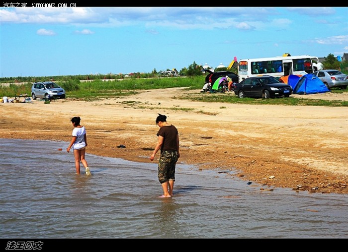 假日休闲 有羊相伴