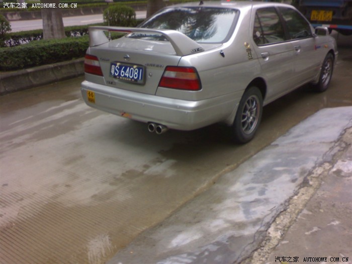 实拍u14蓝鸟罕见