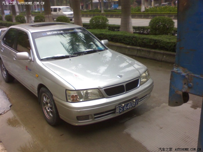 实拍u14蓝鸟罕见