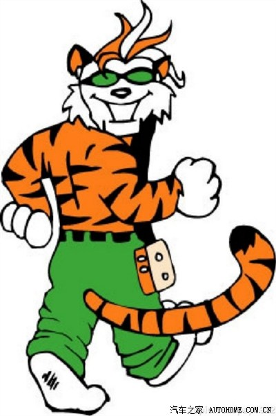 【禅】虎拔毛,拔虎毛,拔掉虎毛毛,老虎掉毛毛