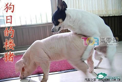 这么久了大家都还对530没有腻吗 ?