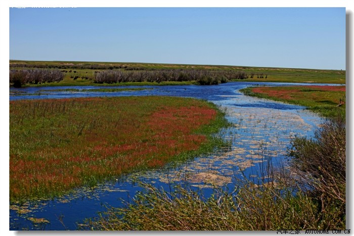 河漫滩上苇柳丛生,湿地较多.河两岸牧业发达.