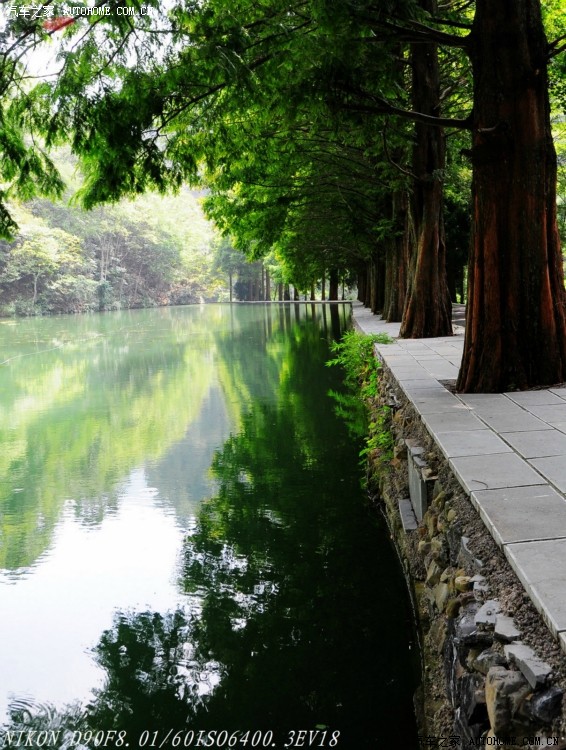 瓮安朱家山国家森林公园