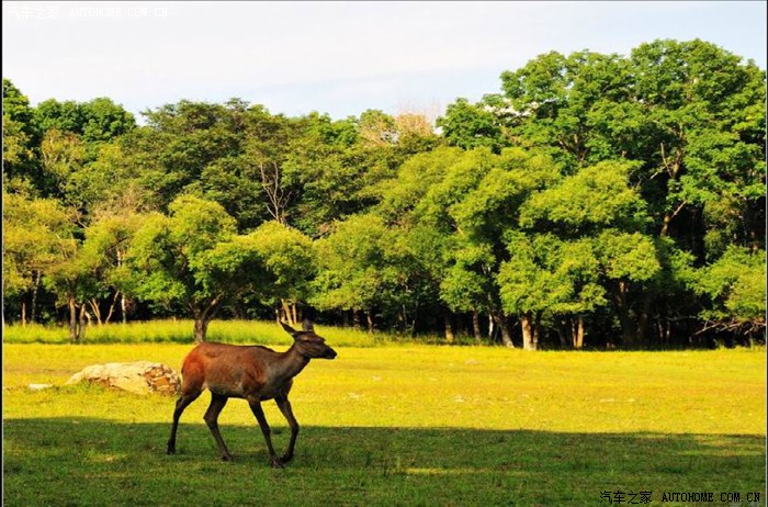 哈尔滨速腾车友俱乐部8月27日金秋平山鹿场自驾游二日游