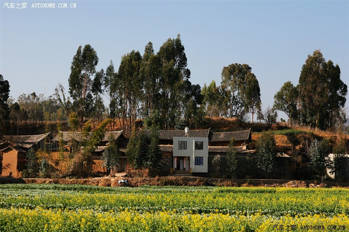 过年感受云南乡村田园风光