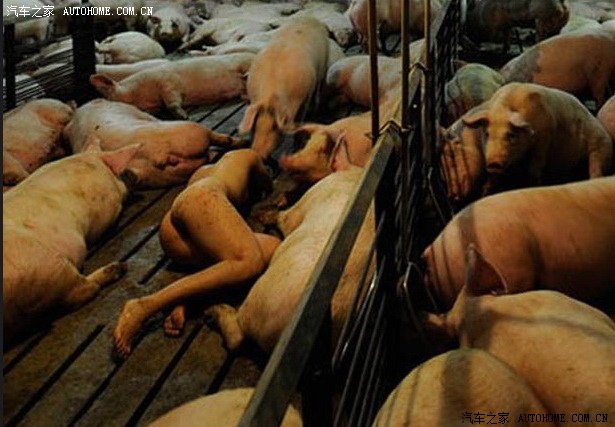 小五2个月不开还能正常起动