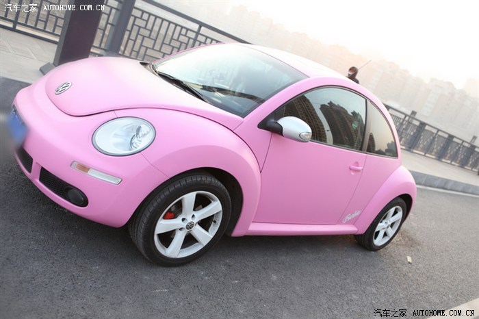 没看过吧?粉色甲壳虫