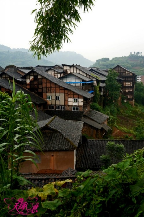 最牛大假里走进泸州佛宝古镇