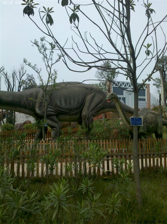 【已修改照片】迟到的作业,10.1六安金领欢乐世界游记