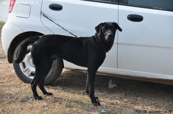 【图】放飞心情,岳城水库逍遥游_卡罗拉论坛_汽车之家论坛
