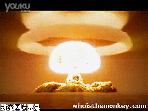 300_225gif 动态图 动图