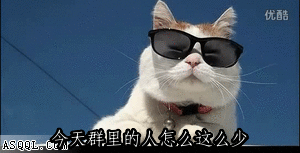 300_153gif 动态图 动图