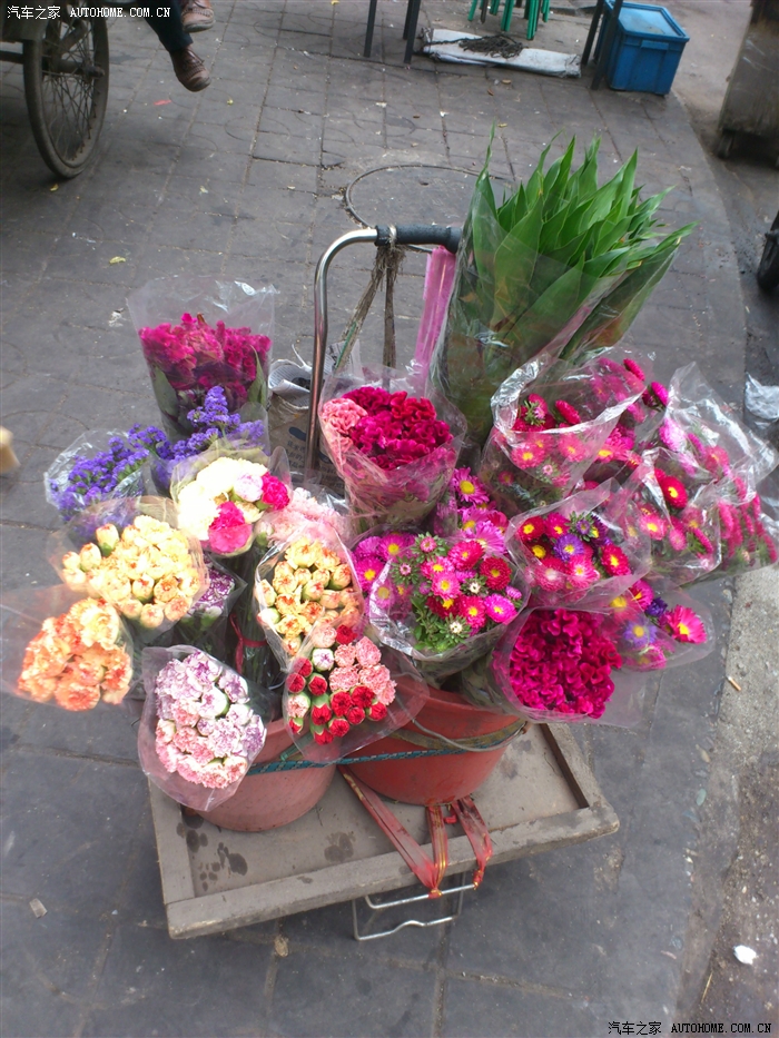 路边卖花的,我比较喜欢这个. 还有个旅行社.随手拍了2张.