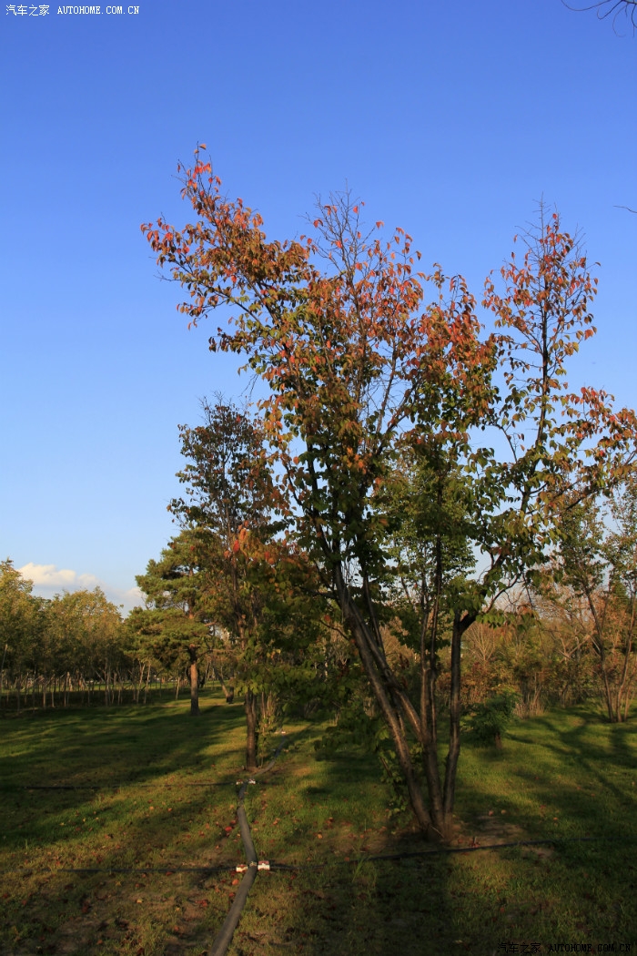长春百木园开园——又一个休闲好去处