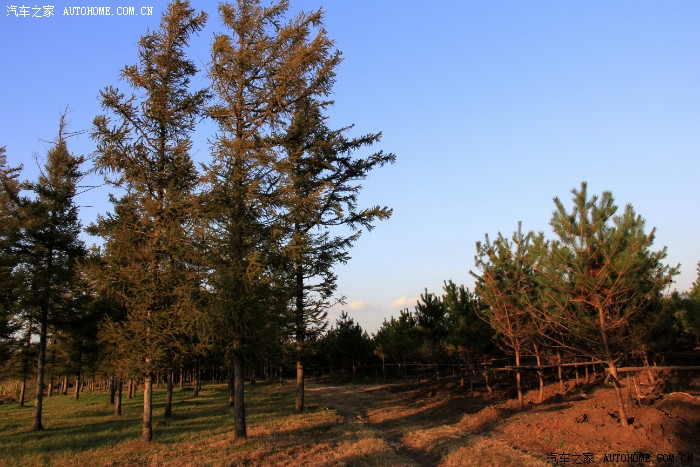 长春百木园9月30日开园昨天下午4点钟去逛了一圈