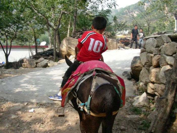 10号,我家大宝,骑驴上山!