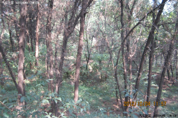 淮安龙行车友俱乐部国庆自驾游徐州马陵山与连