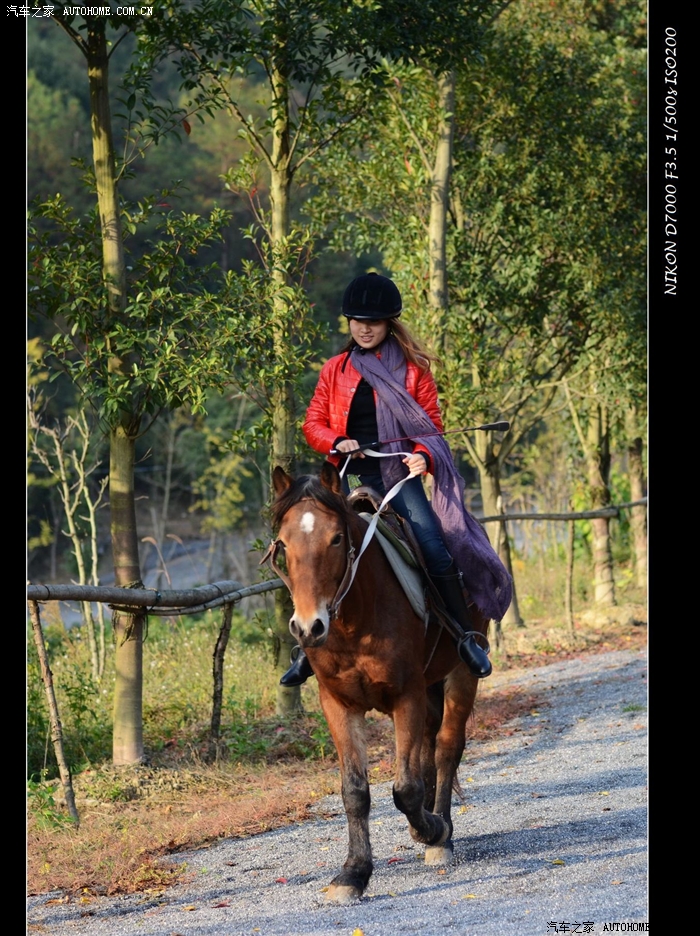 秋日拍美女骑马
