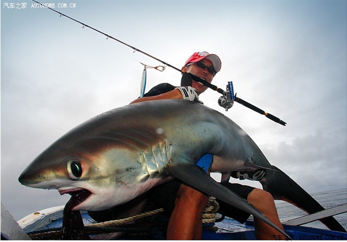 印尼海钓钓到鲨鱼
