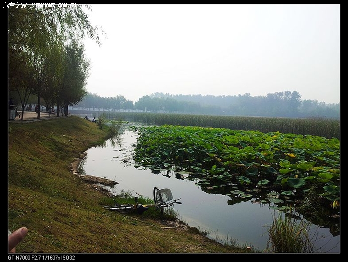悠哉悠哉平顶山公园一景逍友客串沙岛