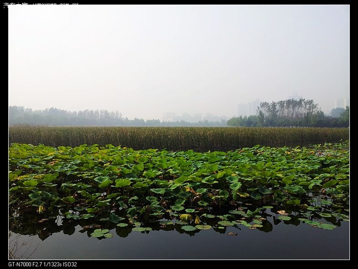 悠哉悠哉平顶山公园一景逍友客串沙岛