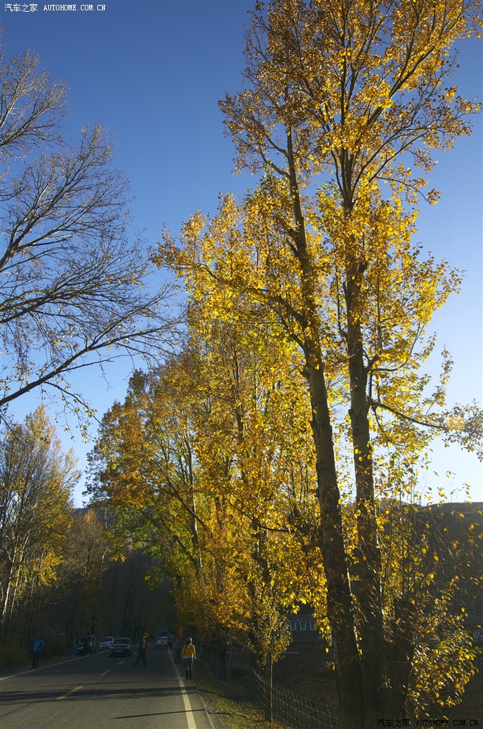 最美十月金秋川西高原之旅超清照片