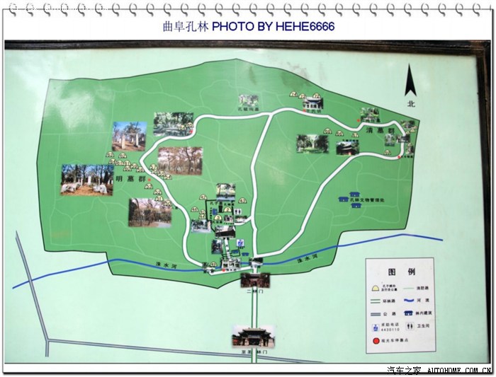 【游记】山东曲阜孔林