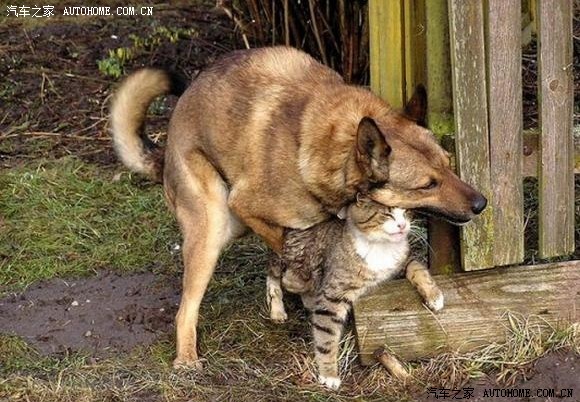 本人想开个洗车及汽车美容的店面有懂的朋友给点建议附惯例