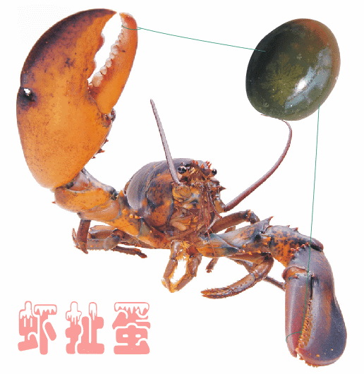 516_530gif 动态图 动图