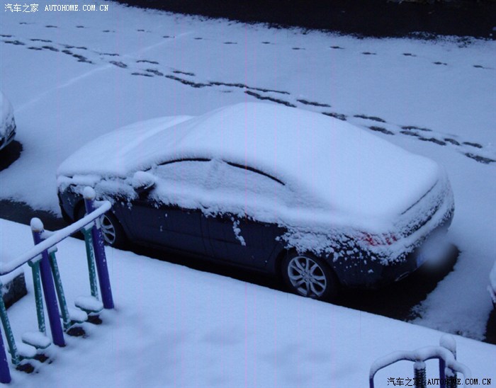 我的白狮子被大雪包了,更白!