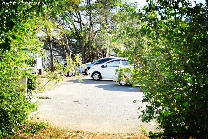 悦悦出游海鸥没拍到拍到海口