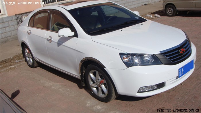 白色帝豪718豪华版装饰作业.申精