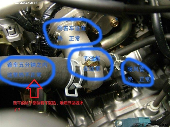 节温器问题