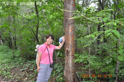 这颗树的土名我知道叫"暴马子",学名叫"不知道",哈哈.