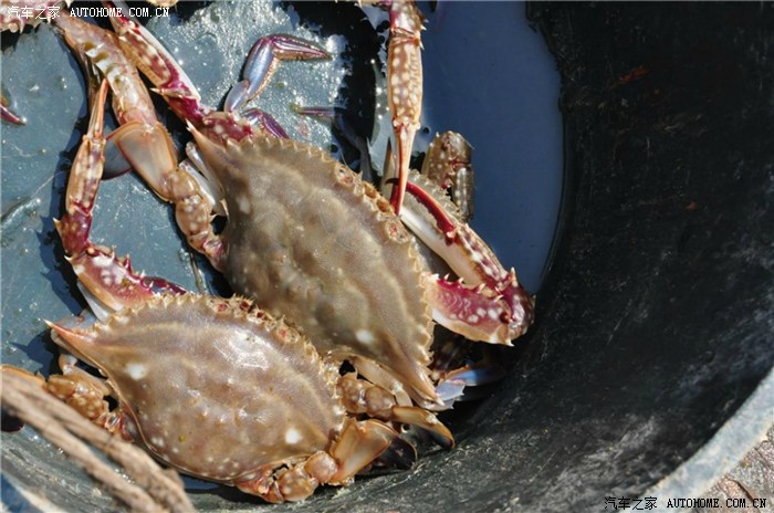 由于特殊原因,没有爬石龙景区,有点遗憾.