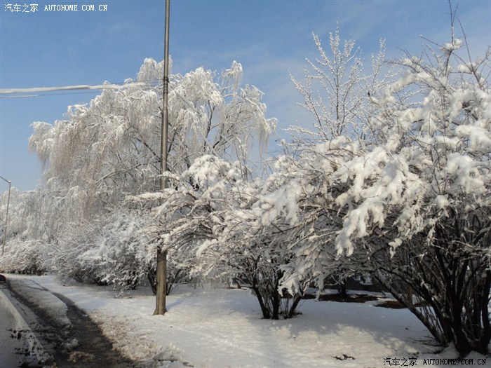 北京3月17日雨夹雪后的雪景跟大家分享下可以的话申精