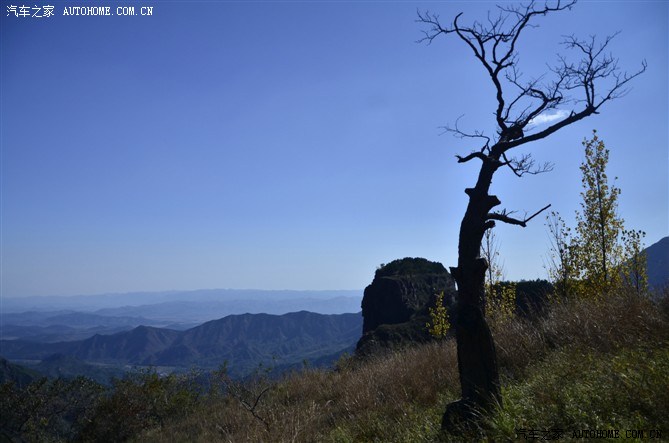 树桠~~~太行山