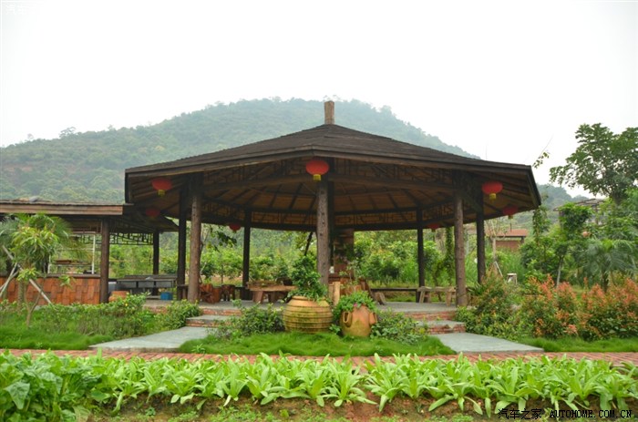 东莞市大朗凤山农业科技园fb.