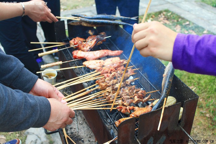 14日周六奥迪车友会东方绿舟踏青烧烤一日游(多图)