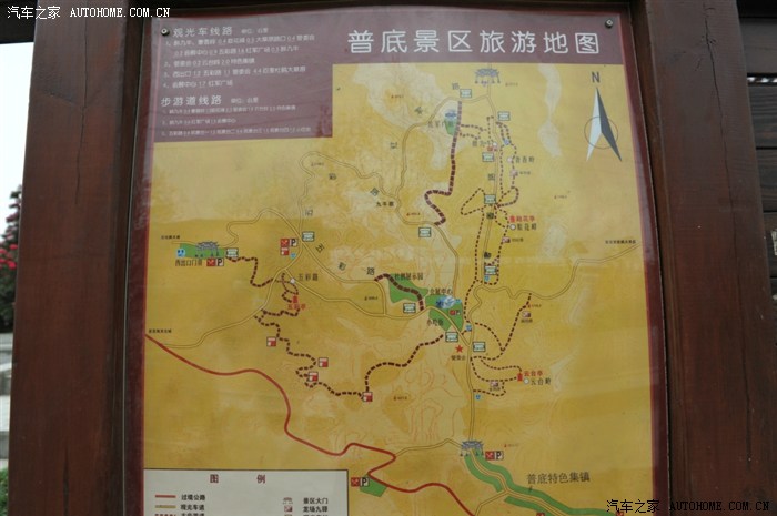 百里杜鹃随拍杜鹃花开正当时