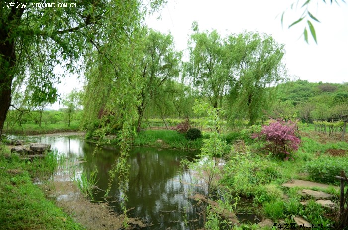 南京江宁谷里千盛农庄