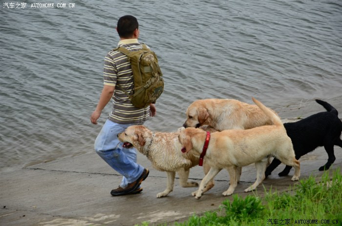 南京江宁谷里千盛农庄