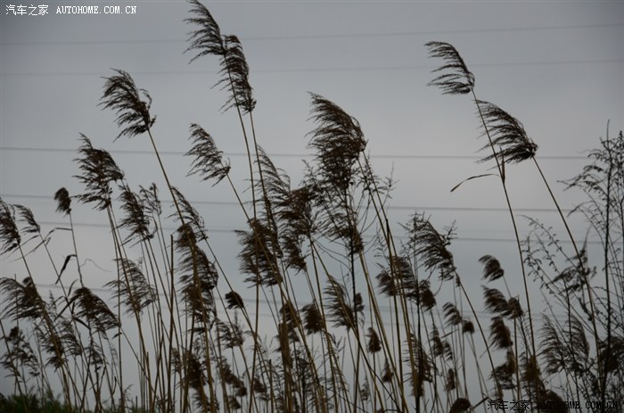 南京江宁谷里千盛农庄