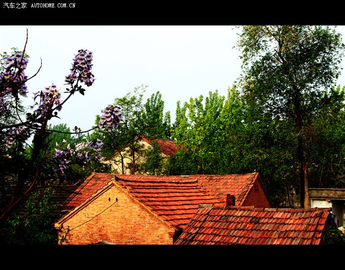 初次上首页再话乡情记录集会拾趣