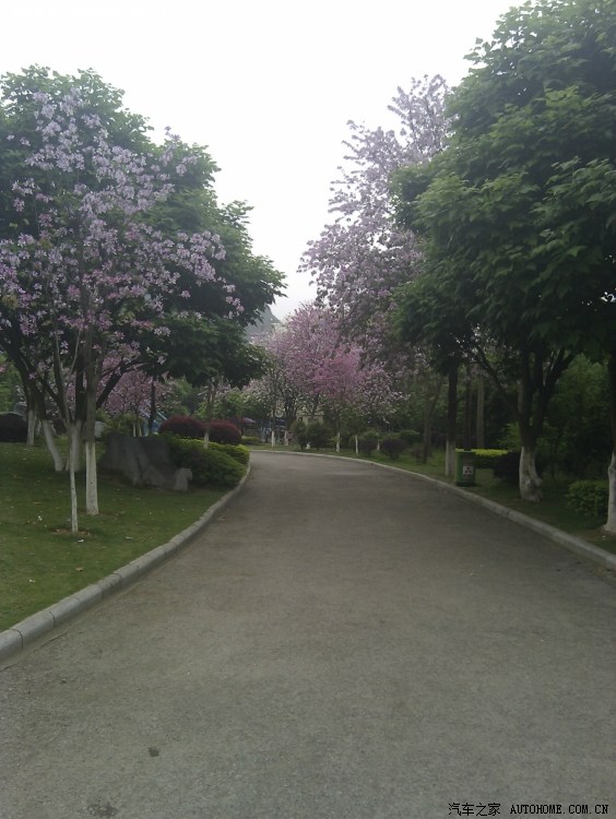 柳州帽合公园瞎拍.