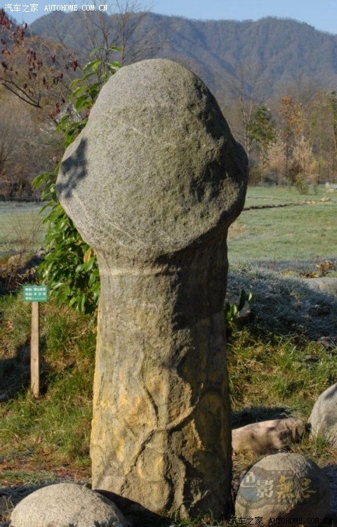 转内涵图很黄很暴力